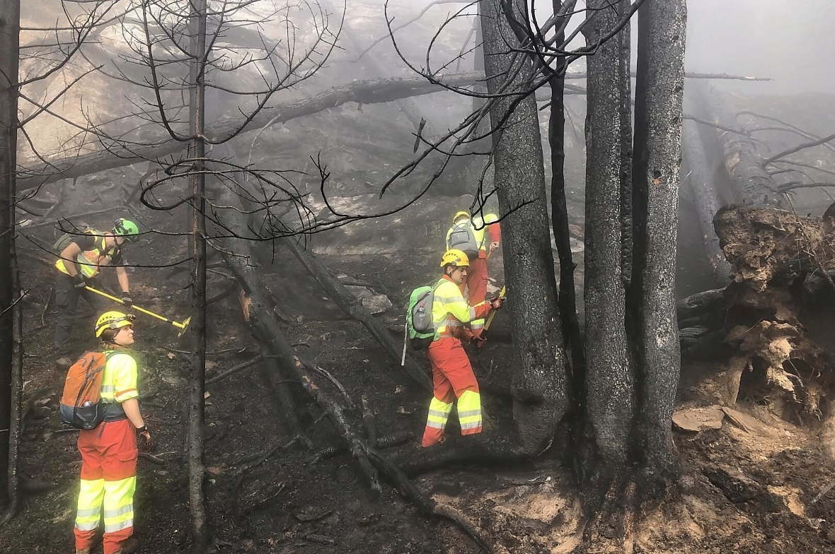 Feuerwehr Wimmis half Waldbrand in Bitsch im Wallis