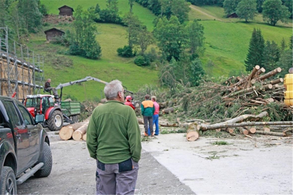 1000 Kubikmeter Holz beim Umlad bei der Talstation im Rothenbach.
