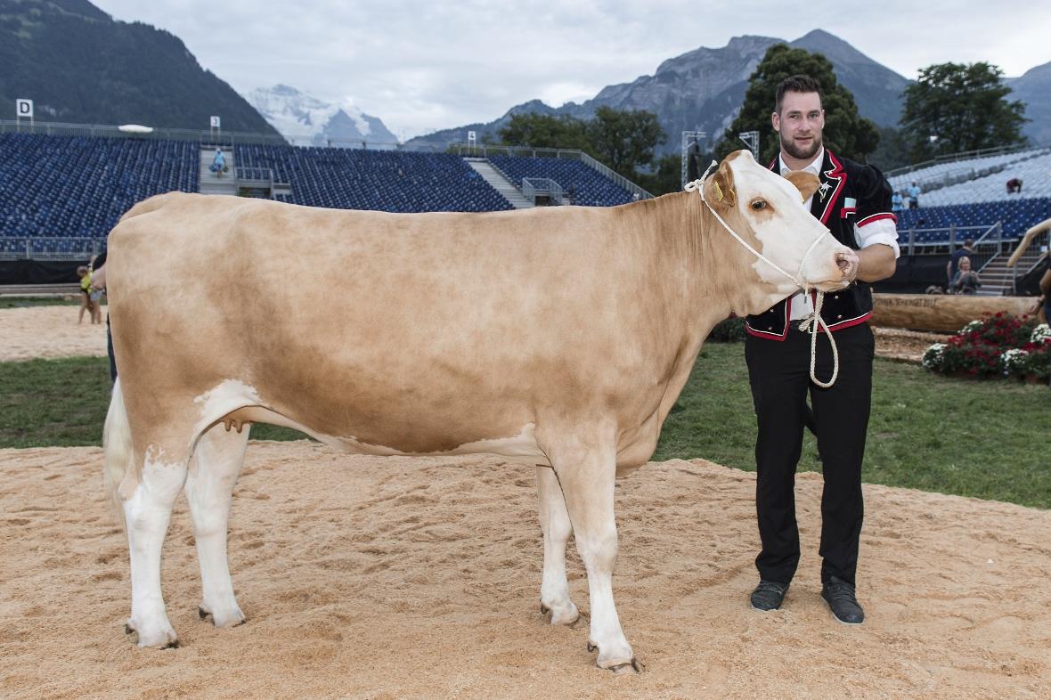 27. August 2017, Schwingen - Unspunnen-Schwinget 2017. Ruedi Roschi (Oey) mit Ri...