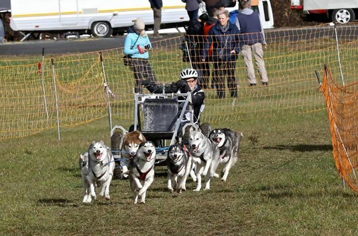 AQuch im Sommer werden Rennen ausgetragen