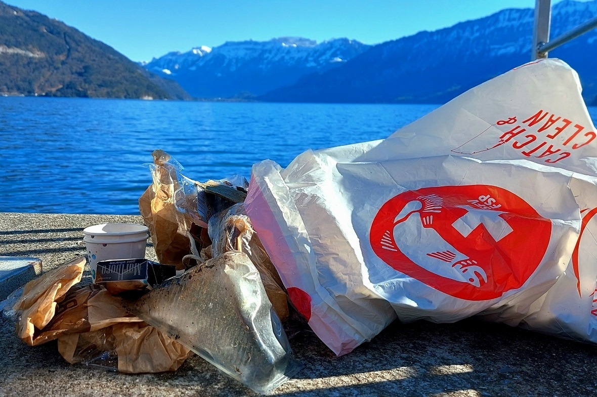 Abfall vor schöner Aussicht auf Berge und Thunersee.