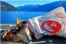 Abfall vor schöner Aussicht auf Berge und Thunersee.
