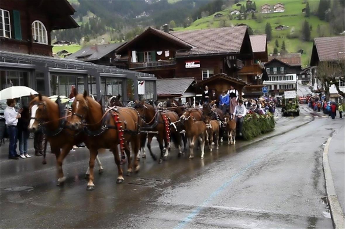 Achtspänner mit den Flöschfrauen