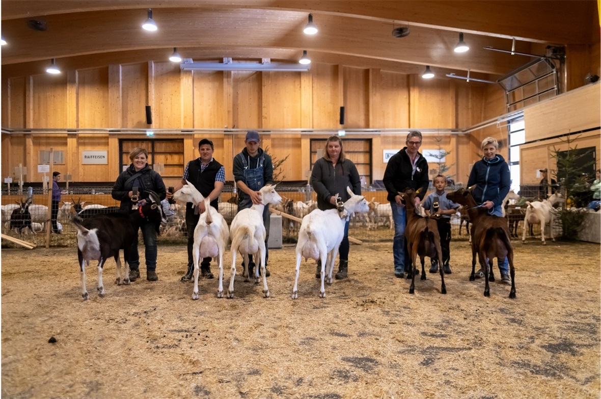 Alle Missen auf einen Blick: v.l: Miss übrige Rassen: Marla, Therese Teuscher, 3...