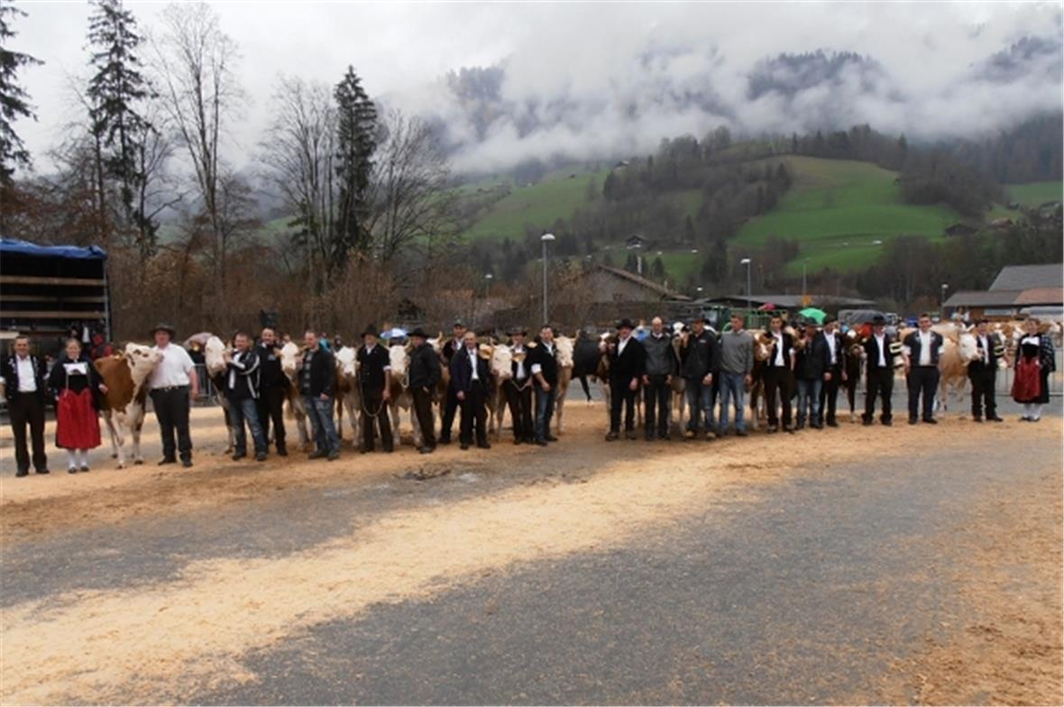 Alle Missen und Vizemissen.