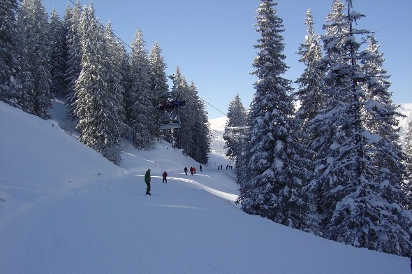Alle Skigebiete melden nach dem Schneefall sehr gute Pistenbedingungen.