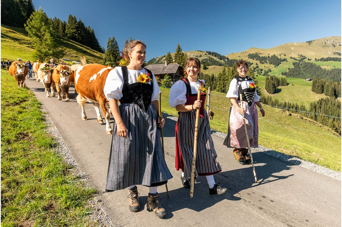 Alpabfahrt St. Stephan 2026