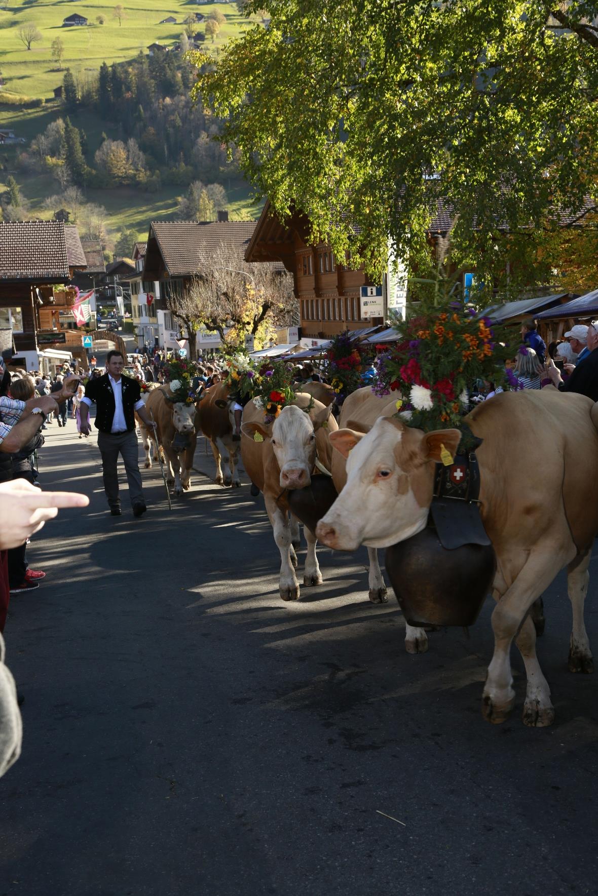 Alpabfahrt im wahrsten Sinn. Zufriedene Älplerfamilien und schön geschmückte Küh...