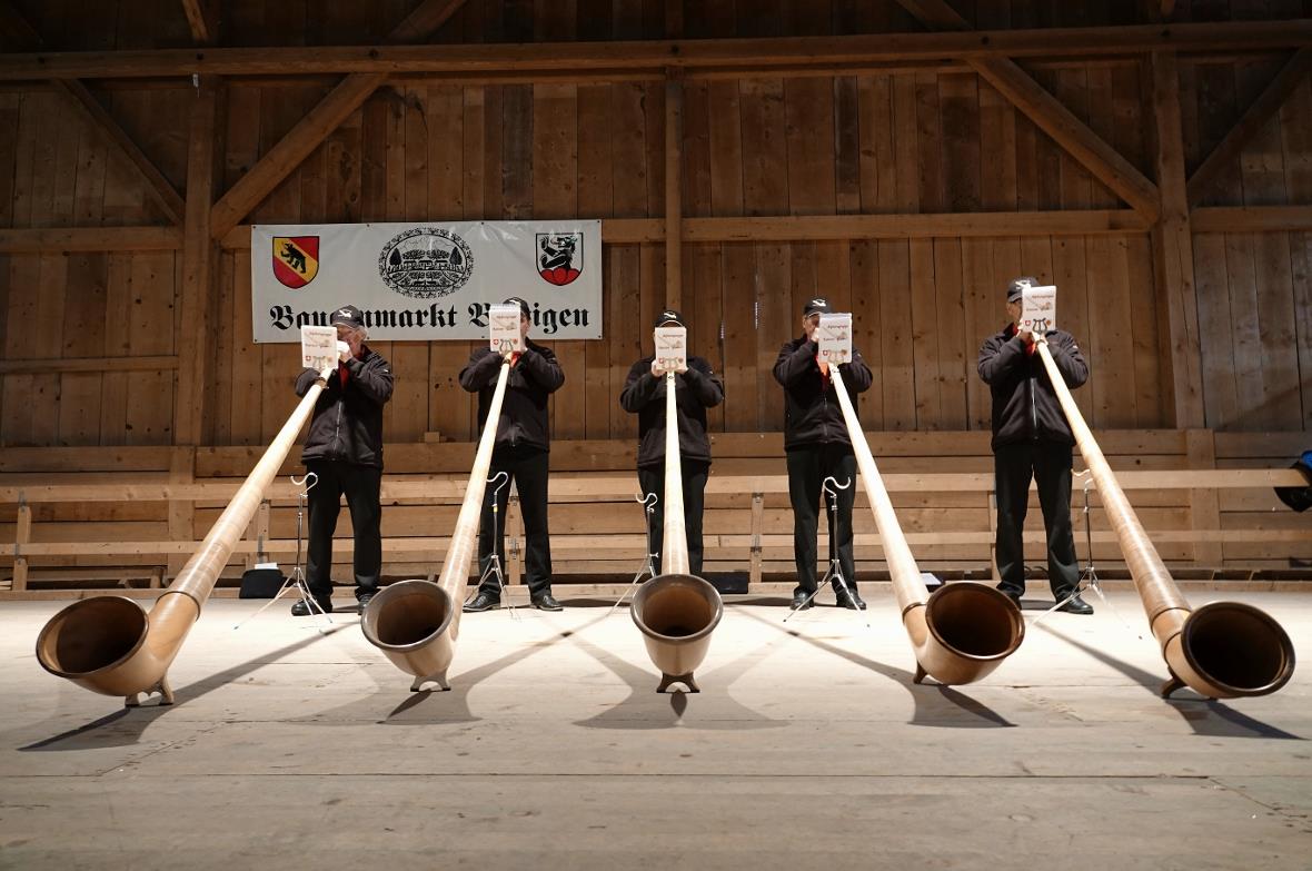 Alphorn Impressionen