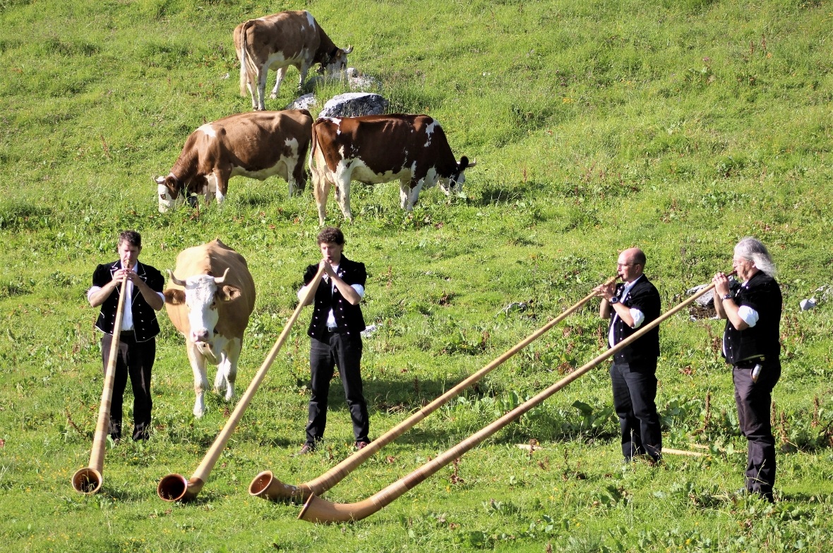 Am 4. und 5. Juli inszenierte die Alphorn-Gruppe «Alphorn Experience» mit Unterstützung der Stockhornbahn und der Oberstockenalp die Taufe ihrer neuen CD «Kühreihen», direkt unter dem Stockhorn.