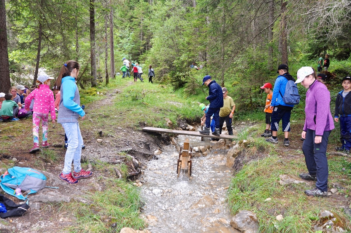 Am Bach kann gestaut und gespielt werden.