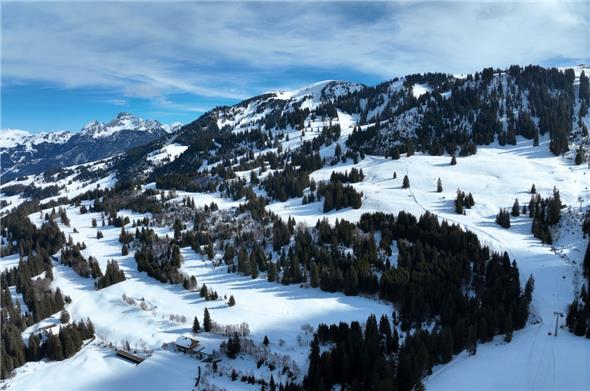 Am Samstag ist im Skigebiet Saanersloch in Saanenmöser ein Snowboarder in der Region Horrengraben verunfallt. Er verstarb trotz umgehender Rettungsmassnahmen noch vor Ort. Der Unfallhergang wird untersucht.
