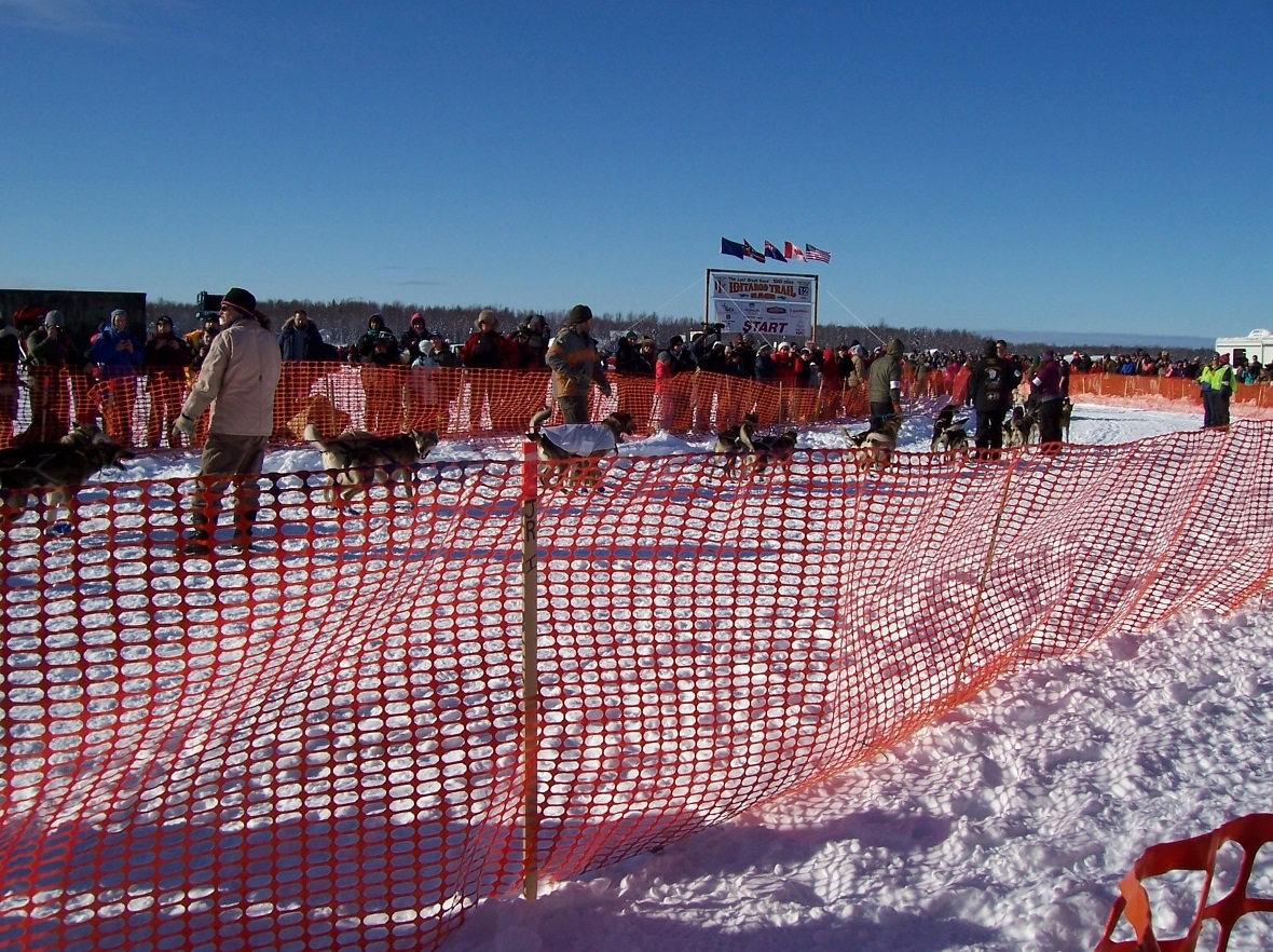 Am Start des  IDITAROD in Alaska.