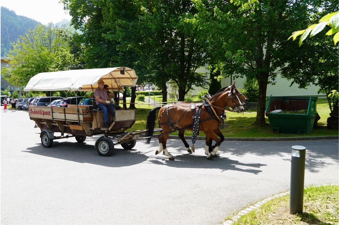 Ankunft der Rösslipost aus der Lenk!
