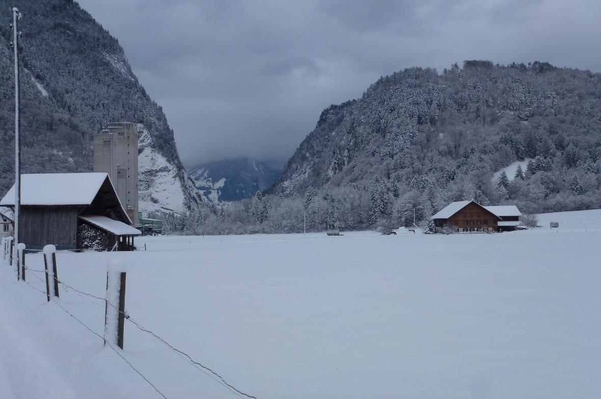 Ansmatte: Hier soll die Naturparkkäserei gebaut werden.