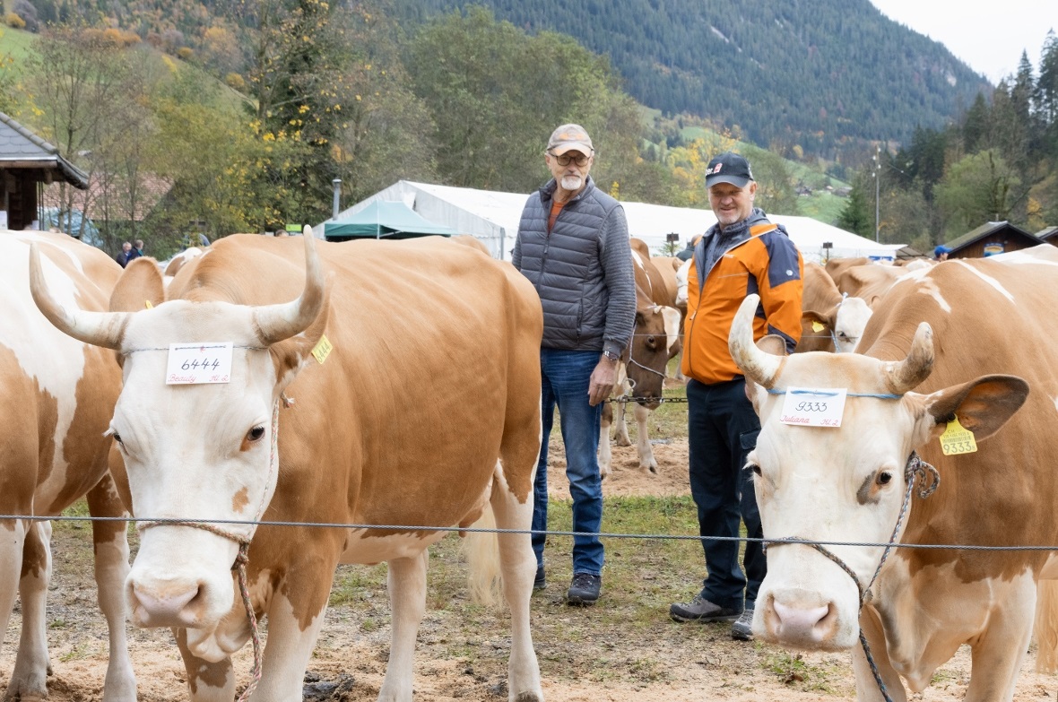 Arthur Hiltbrand utnerstützte Peter Rothenbühler bei fachlichen Fragen zur Missw...