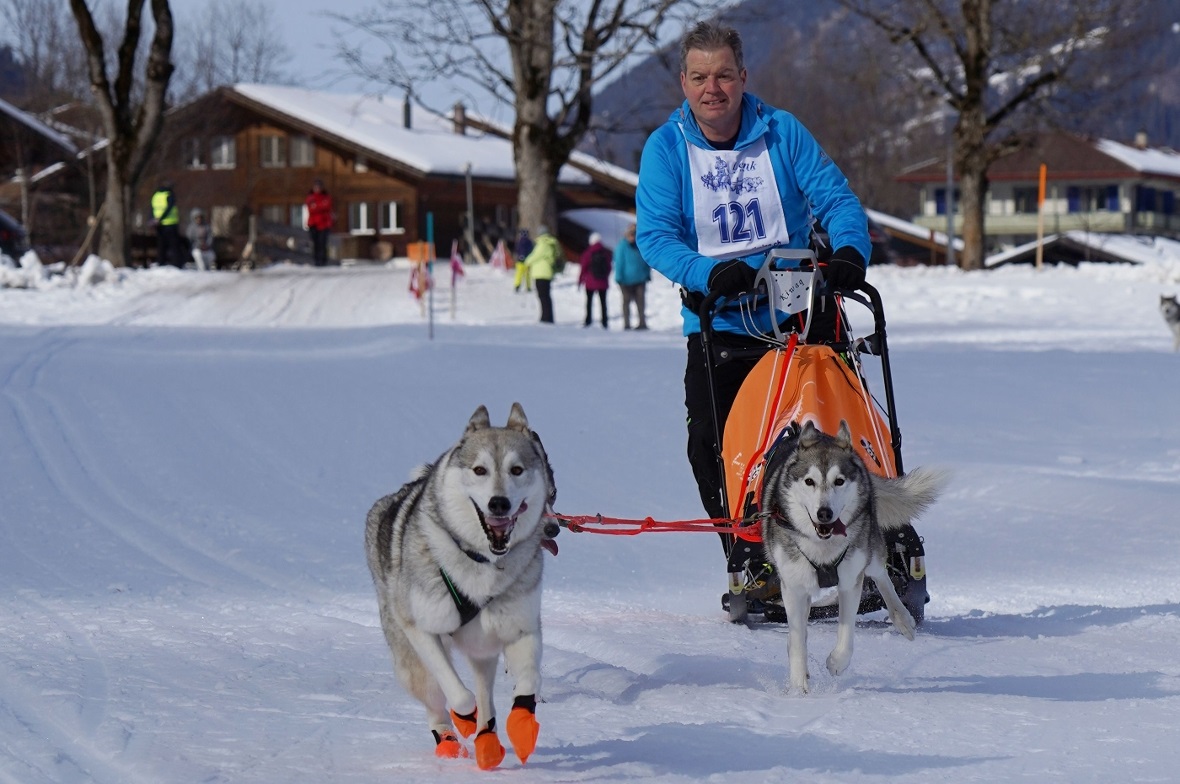 Auch Hunde tragen modisches Schuhwerk.