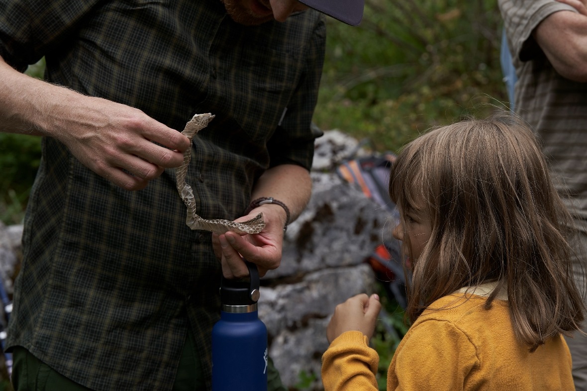 Auch an den Häuten der Schlangen lässt sich vieles lernen.