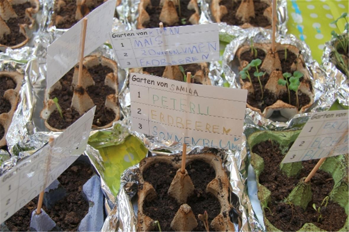 Auch aus alten Eierkartons kann etwas Neues entstehen.