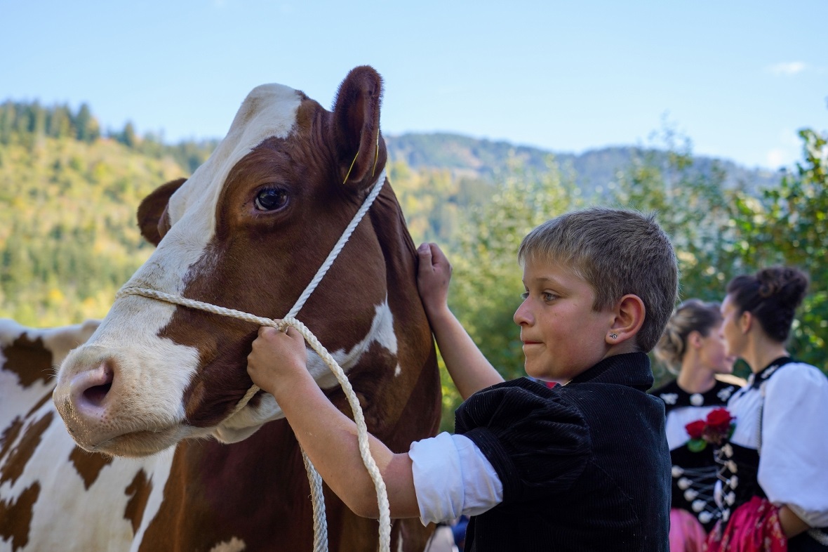 Auch der Nachwuchs in den Züchterfamilien beteiligte sich aktiv.