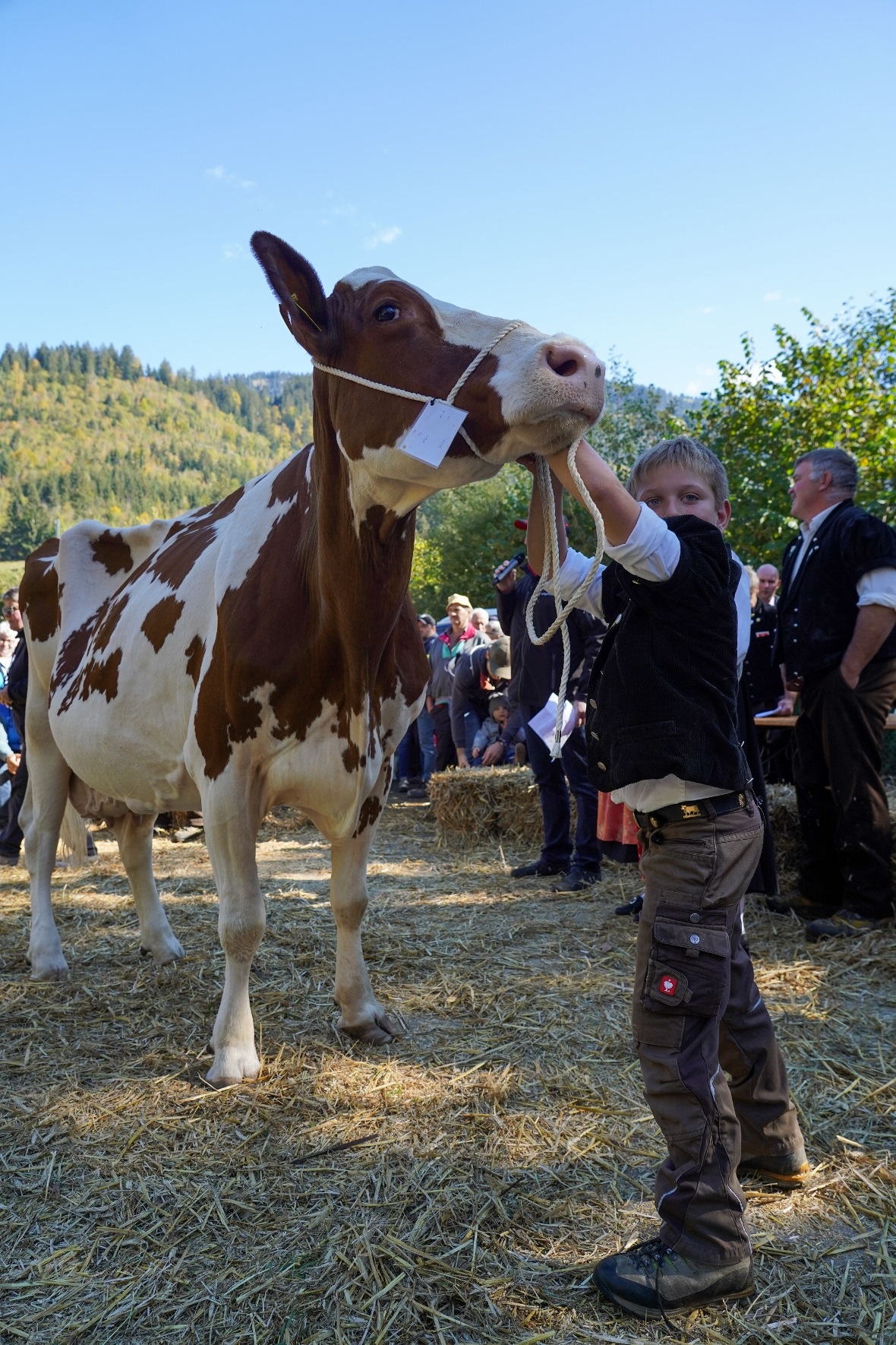 Auch der Nachwuchs in den Züchterfamilien beteiligte sich aktiv.