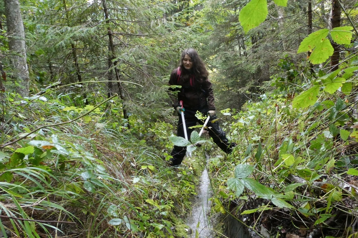 Bergwald-Projekt: 33 Freiwillige für starken Wald Auch unter schwierigen Bedingungen hatten die Freiwilligen des Bergwaldprojektes alle Hände voll zu tun.