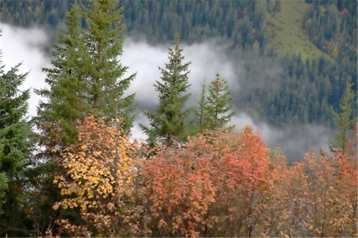 Auch wenn es regnet ist der Herbst schön