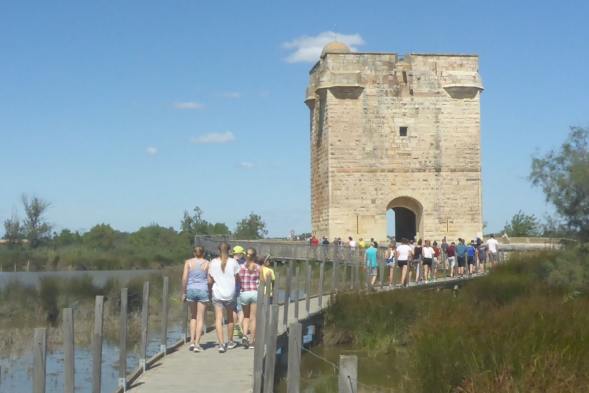 Auf dem Holzsteg unterwegs zum Aussichtsturm Tour.