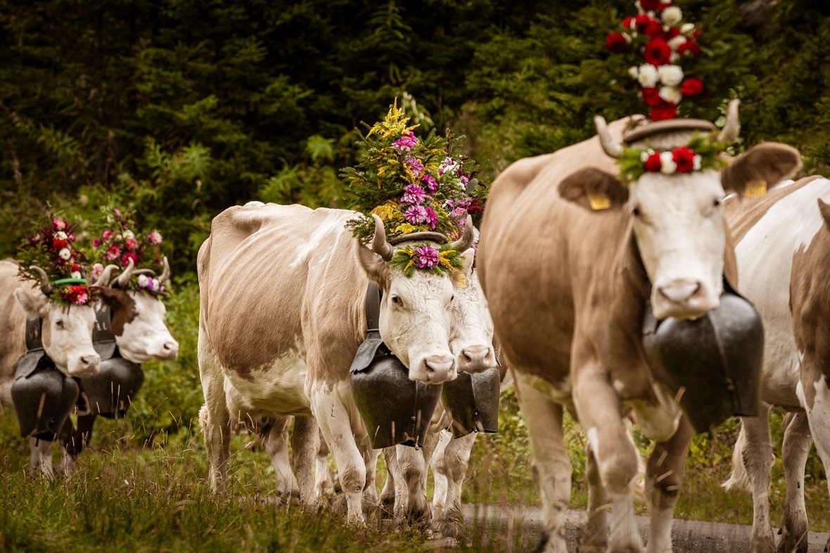 Auf dem langen Weg ins Tal.