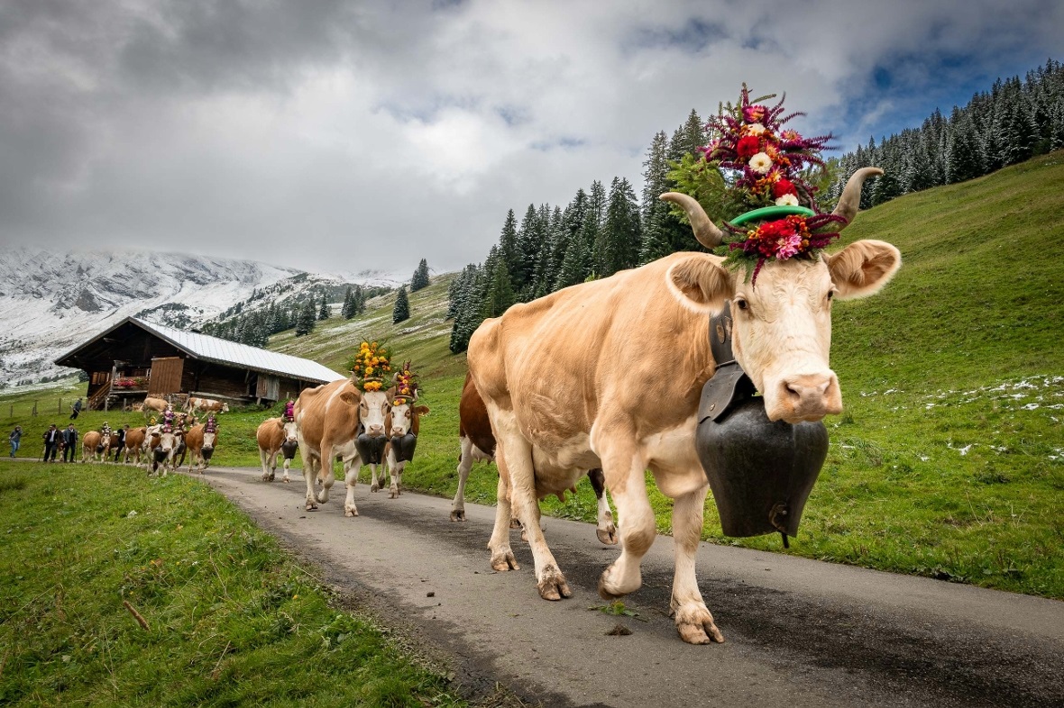 Auf dem langen Weg ins Tal.