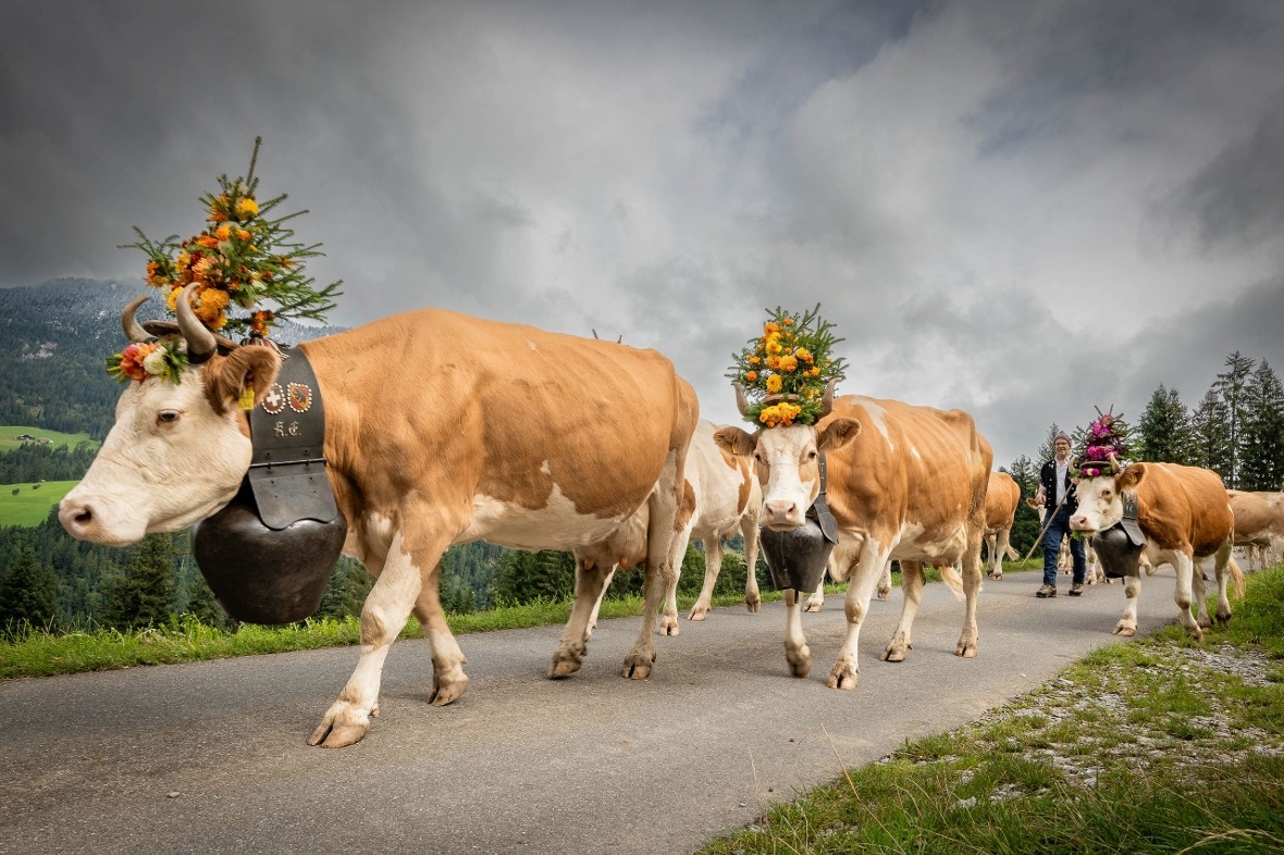 Auf dem langen Weg ins Tal.