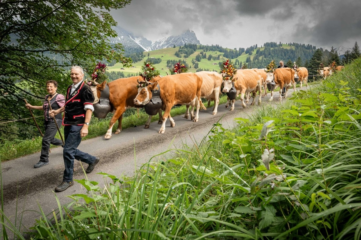 Auf dem langen Weg ins Tal.
