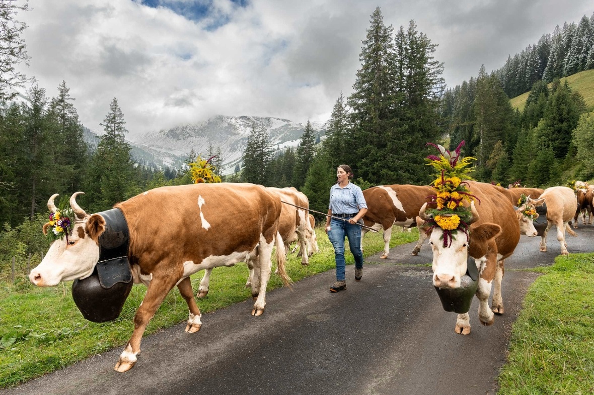 Auf dem langen Weg ins Tal.