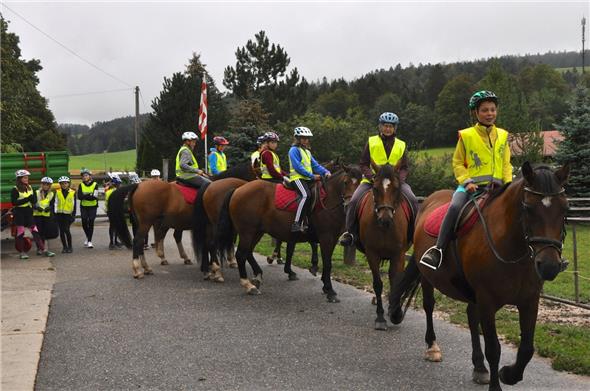 Auf den friedlichen Freibergerpferden durften wir einen ausgiebigen Ausritt vornehmen.