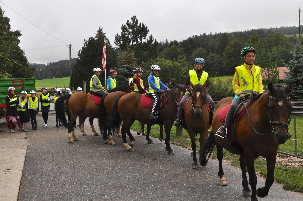 Auf den friedlichen Freibergerpferden durften wir einen ausgiebigen Ausritt vorn...