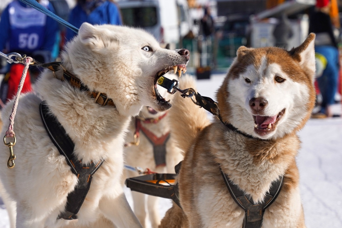 Aufregung vor dem Start.
