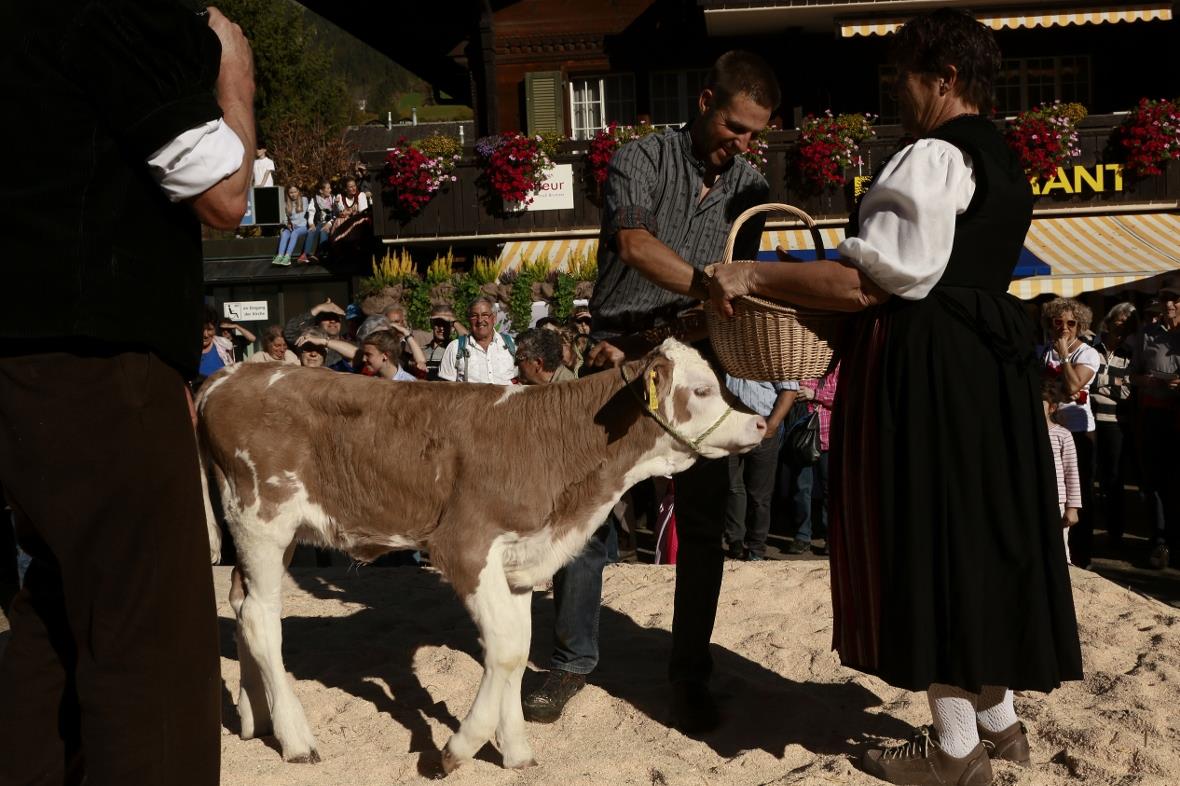 Aus den richtigen Schätzungen wird der Gewinner gezogen