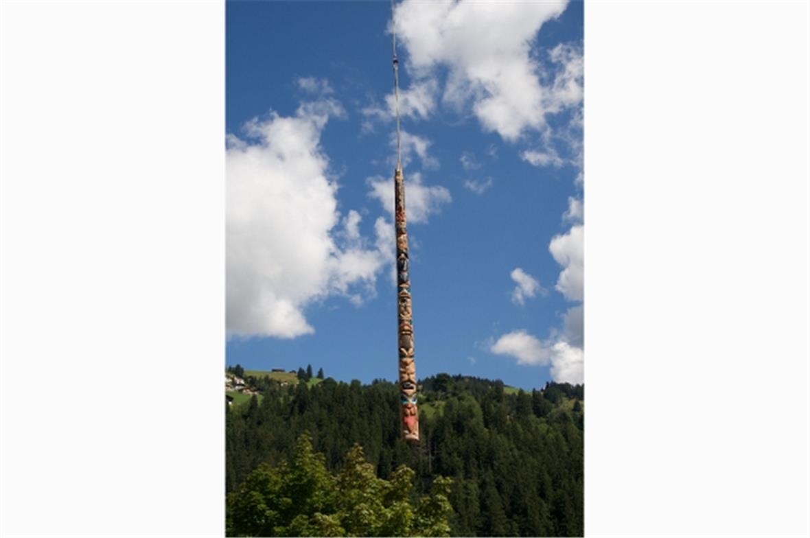 Bär, Wolf, Biber, Mensch, Orca, Adler und Krähe schweben majestätisch durch die ...