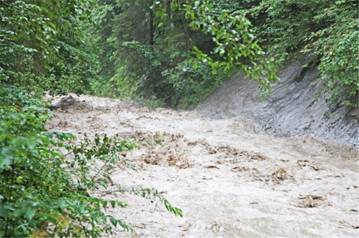 Bei der Messtelle im Oberried