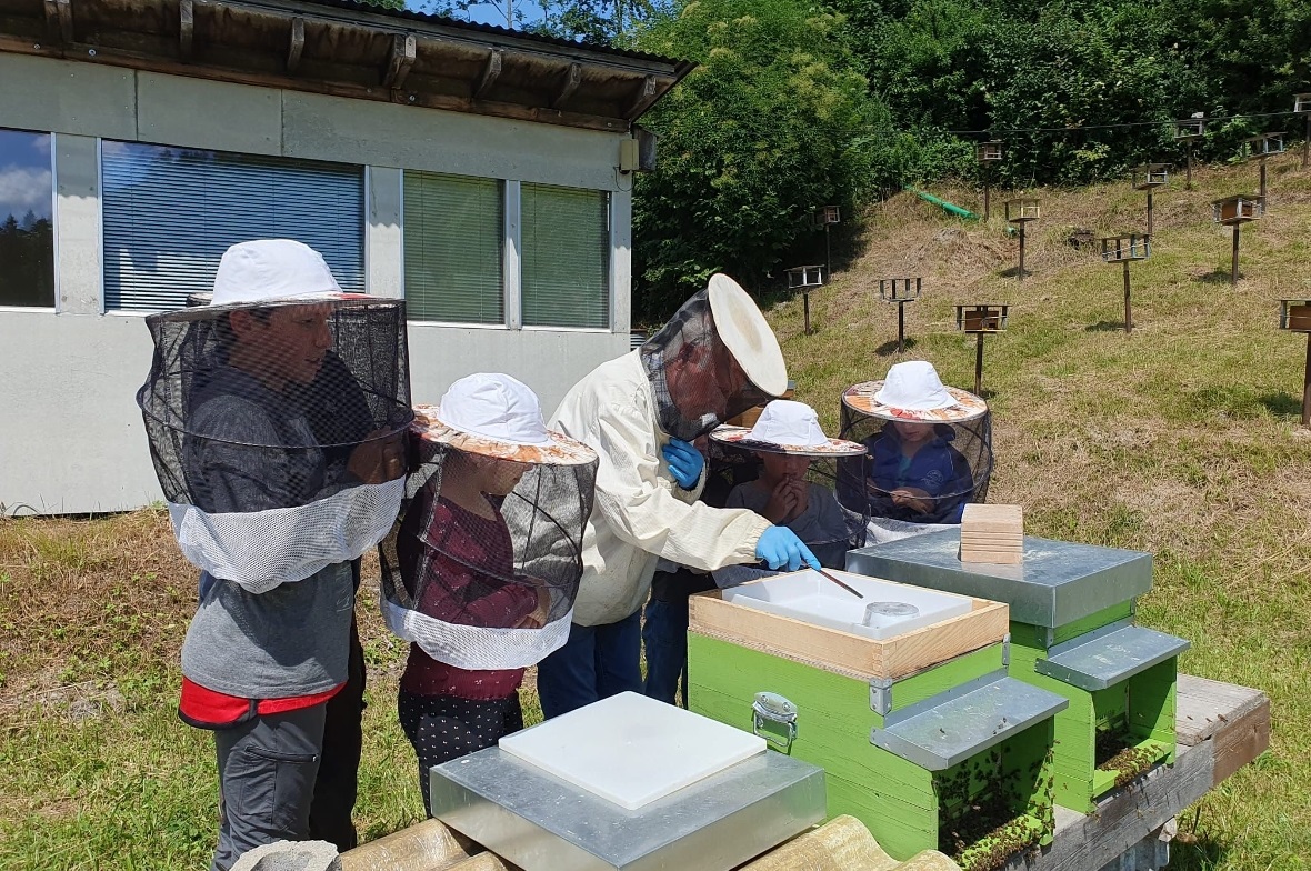 Beim Imker.