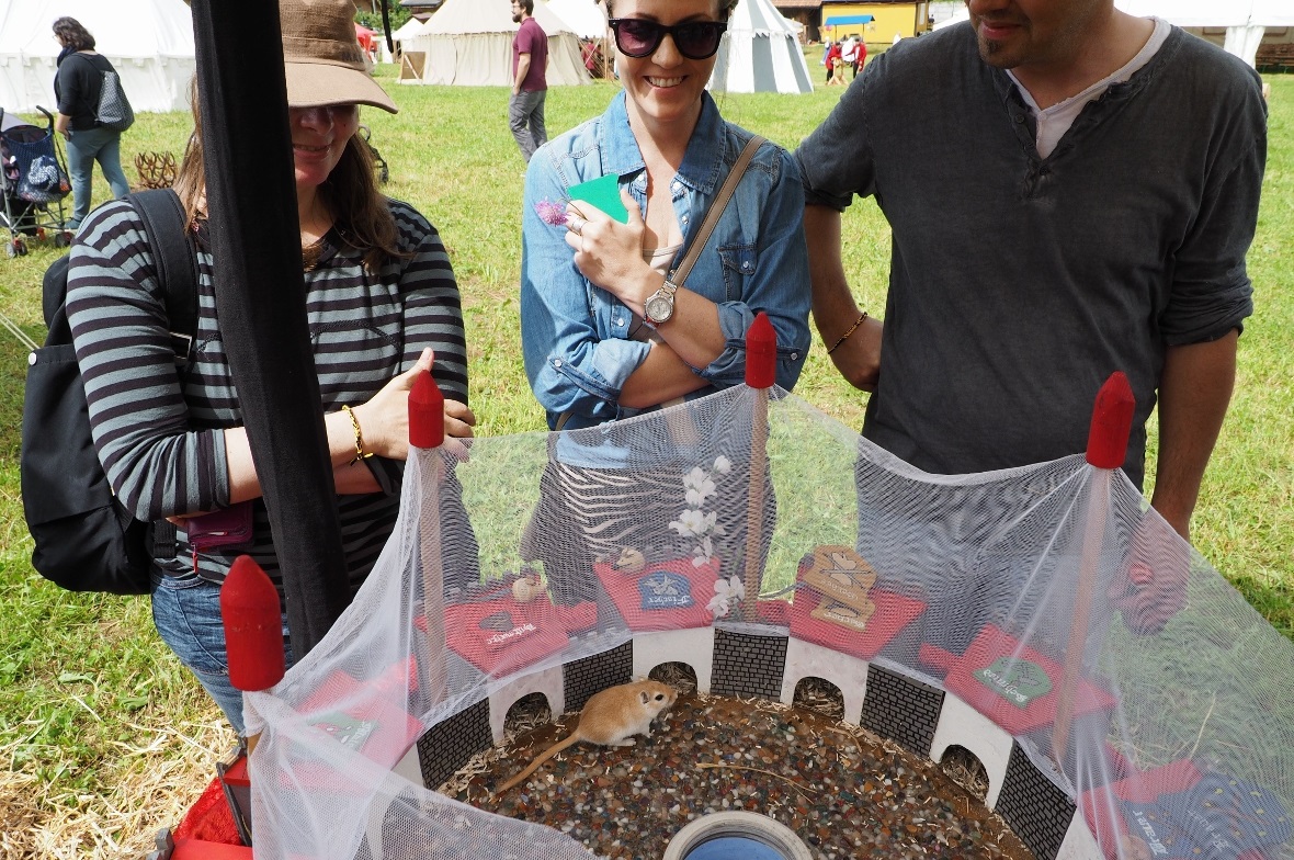 Beim Mäuseroulette konnte auf ein Haus gesetzt werden. Vielleicht lief  Wüstenre...