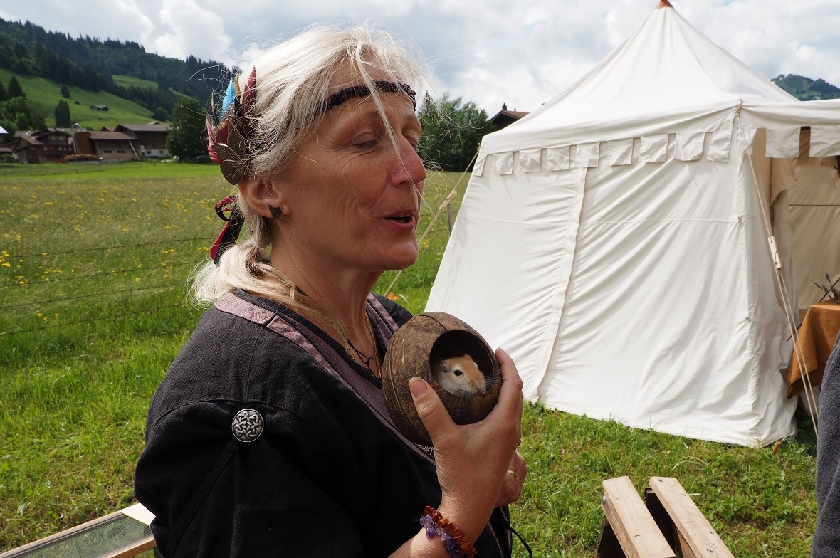 Beim Mäuseroulette konnte auf ein Haus gesetzt werden. Vielleicht lief  Wüstenre...