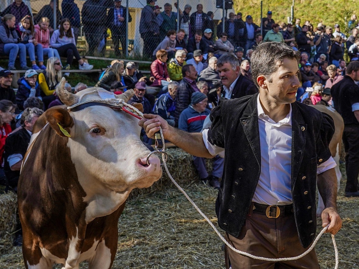 Benjamin Hutzli führte, wie die meisten Züchter, gleich eine ganze Reihe von Tie...
