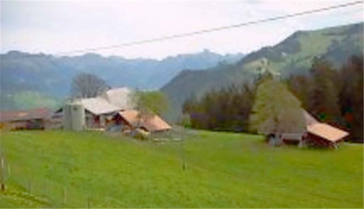 Betrieb Sommerau in Boltigen