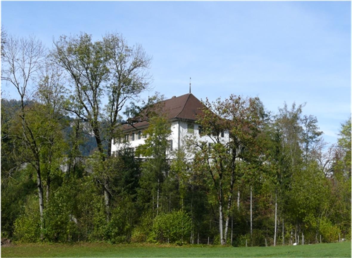 IG hat den Zuschlag für das Schloss Blankenburg erhalten 