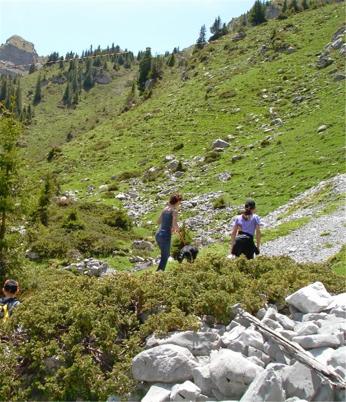 Für Naturliebhaber und Sportliche 
