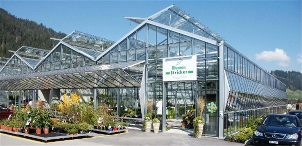 Bunte Saisoneröffnung bei Blumen Stricker 