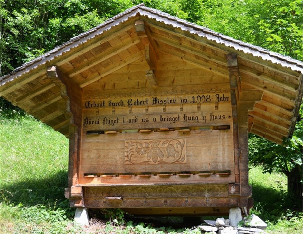 Dunkle Biene für sonnige Tage im Naturpark Diemtigtal 