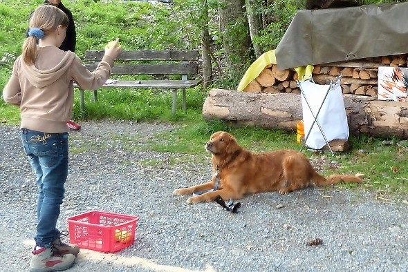 16 «Hündeler» an der Nachtübung