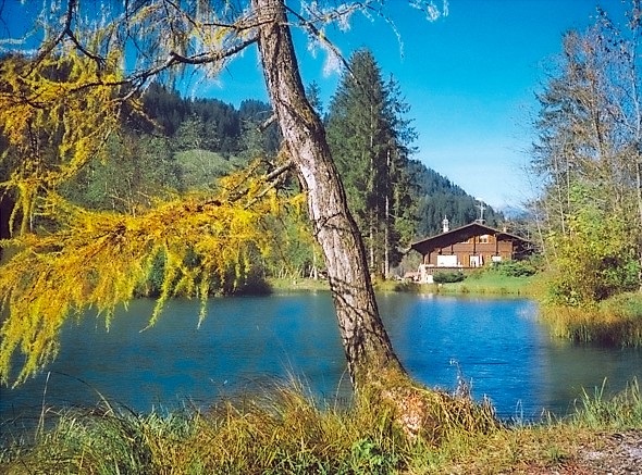 Wiedereröffnung am Forellensee